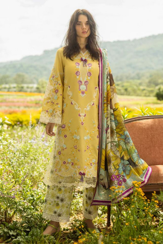 Faded Sunflower 00021